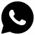 icons8-whatsapp (1)